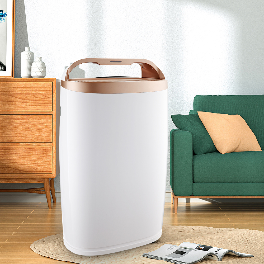 Îndepărtați cel mai bine formaldehida, bucurați-vă de aer curat majoritatea BKJ-306A